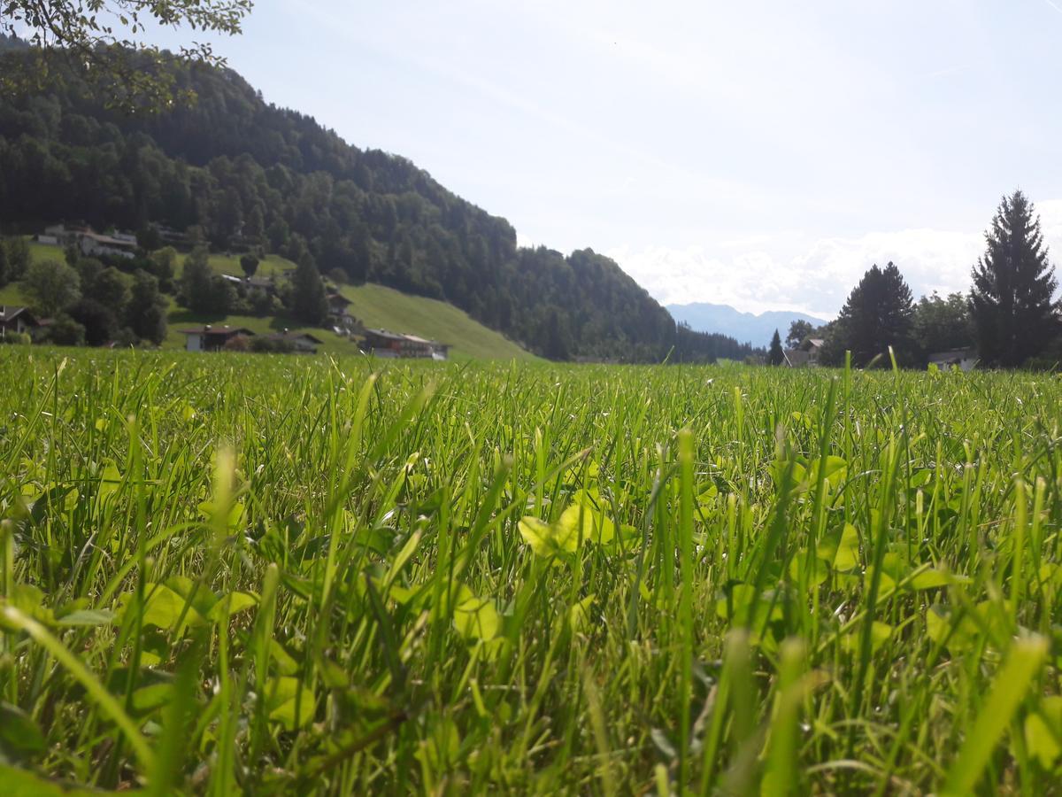 Hofbauer Villa อิทเทอร์ ภายนอก รูปภาพ